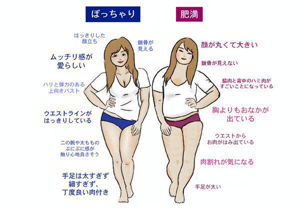 ぽっちゃりとデブの違い