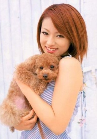 深田恭子と犬