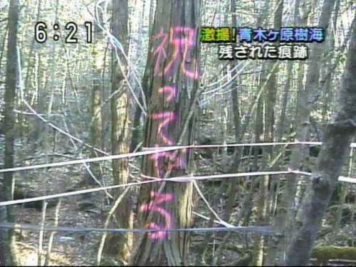 祝ってやる！