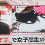 なにわ学園お散歩部 JK