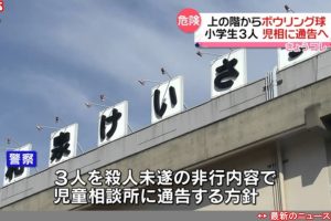 和泉市 ボウリング球 投下事件